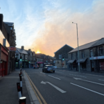 Rethinking the Car, Forest Ablaze, Shopping Haul plus Back Suppor